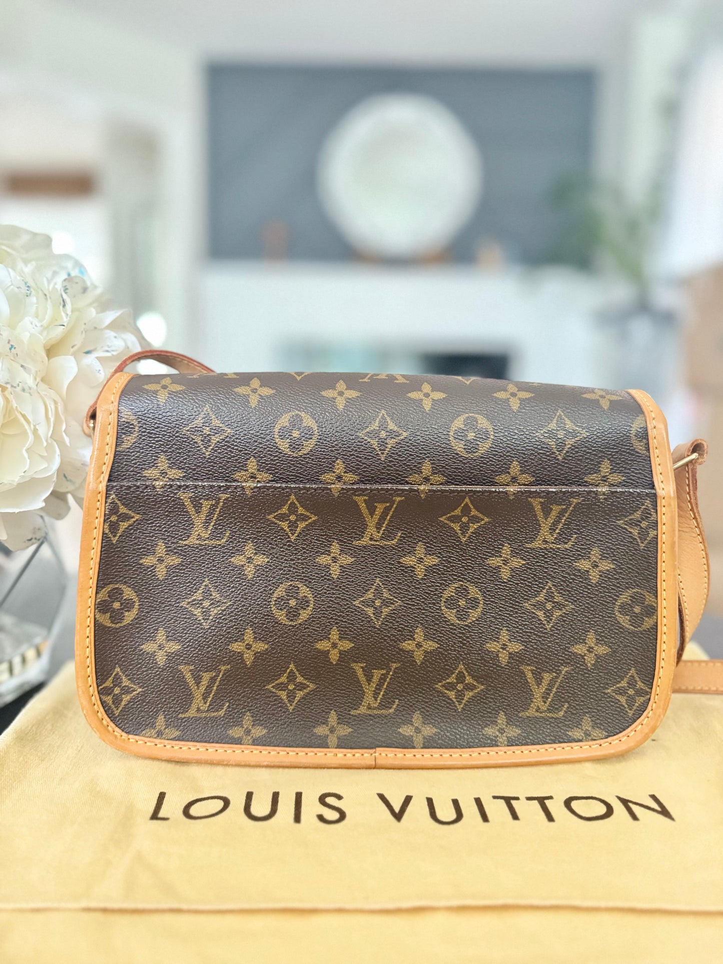 LOUIS VUITTON SOLOGNE CROSSBODY BAG