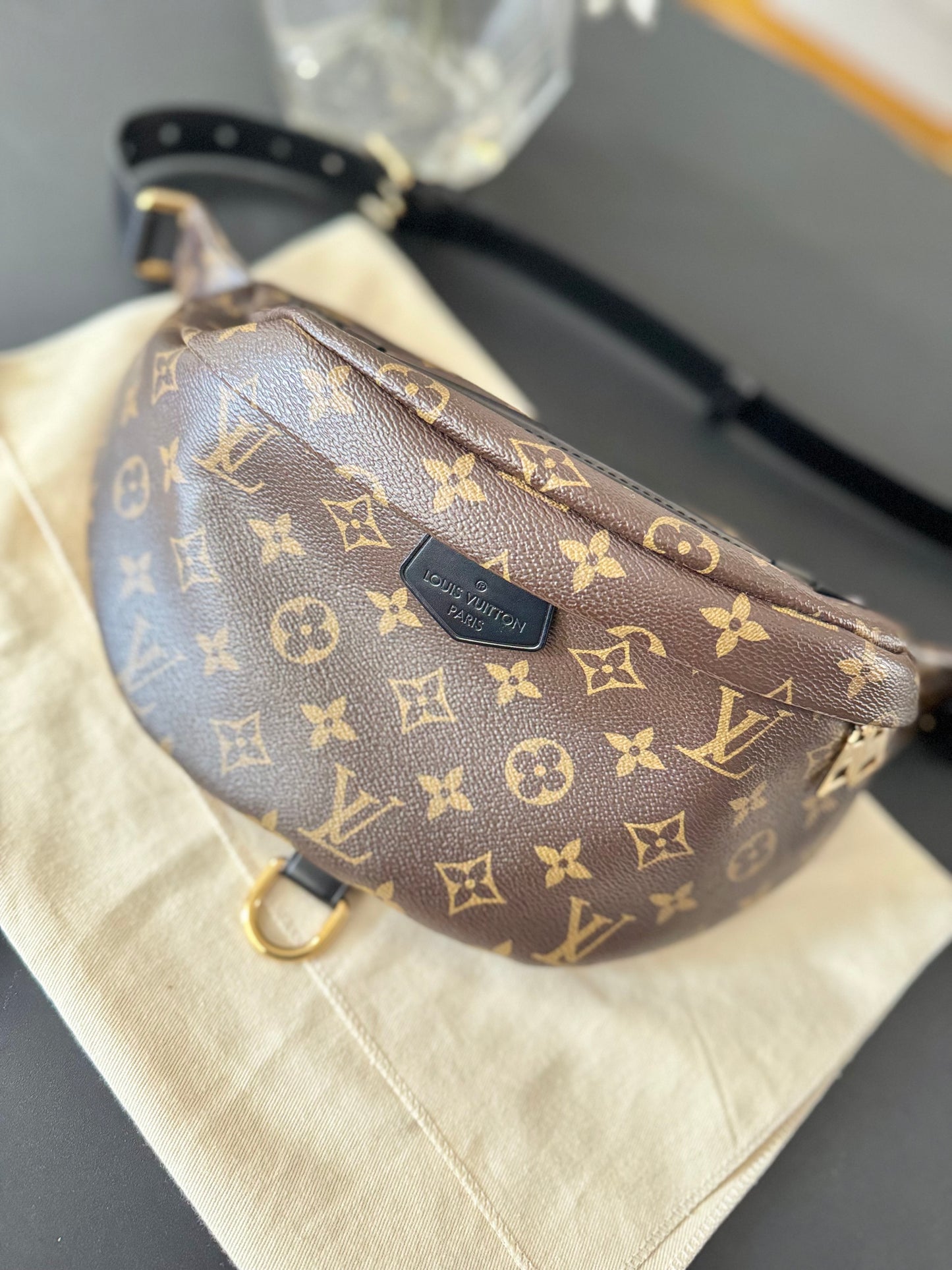 LOUIS VUITTON WORLD TOUR BUMBAG