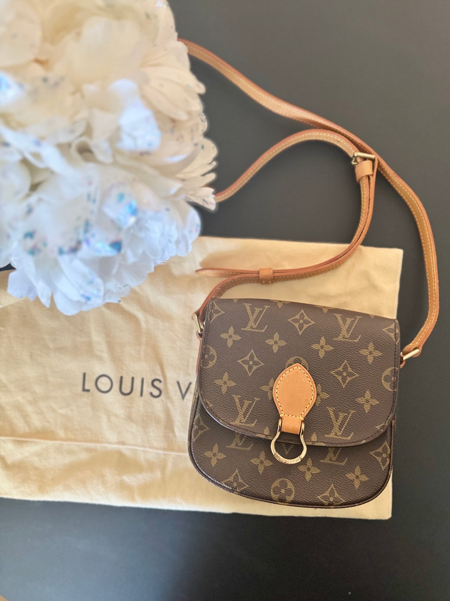 LOUIS VUITTON ST CLOUD PM