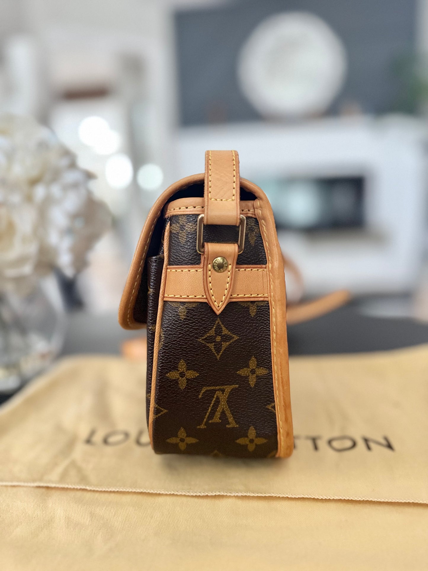 LOUIS VUITTON SOLOGNE CROSSBODY BAG