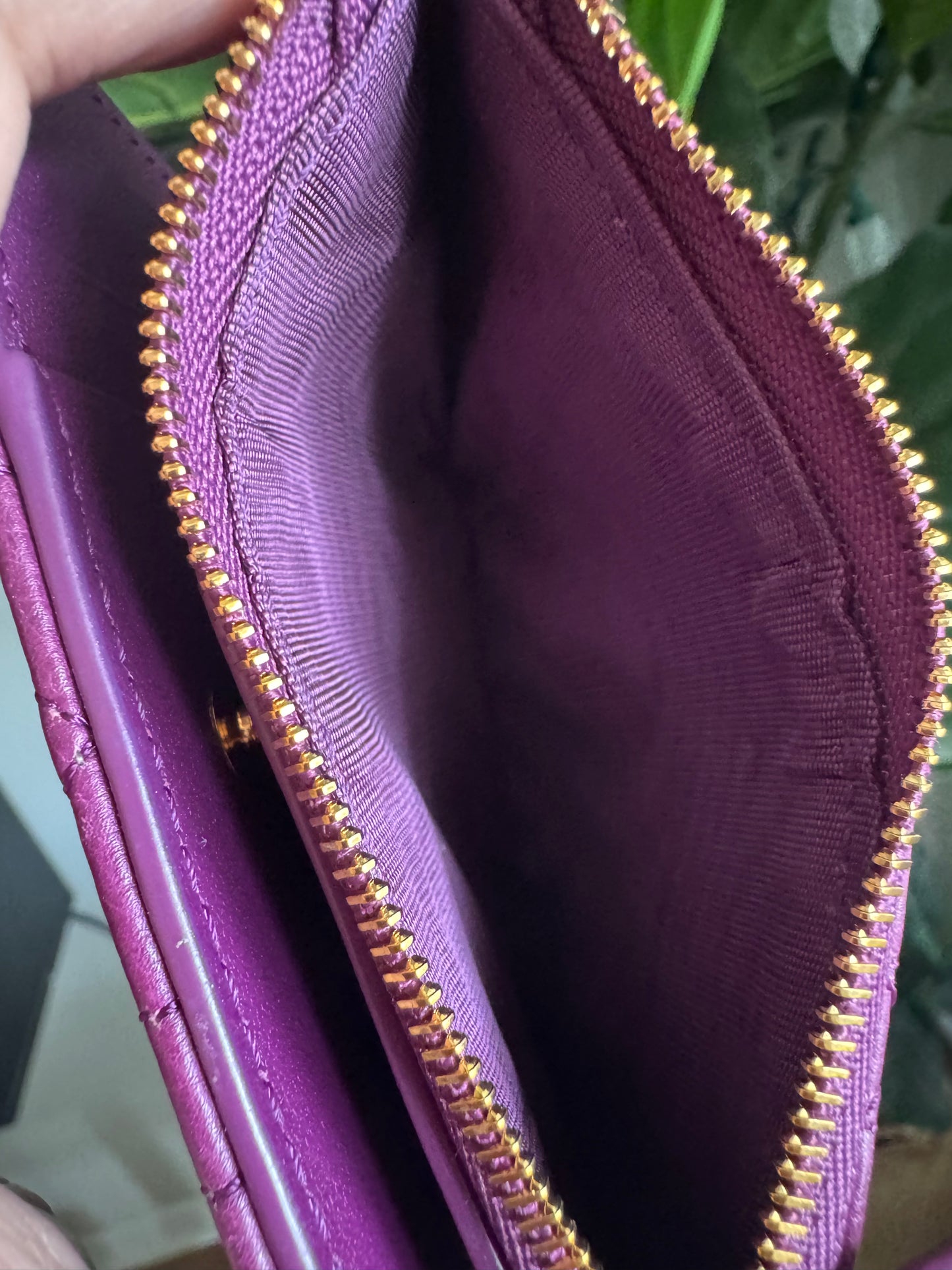 Christian Dior Dahlia Caro Compact Wallet