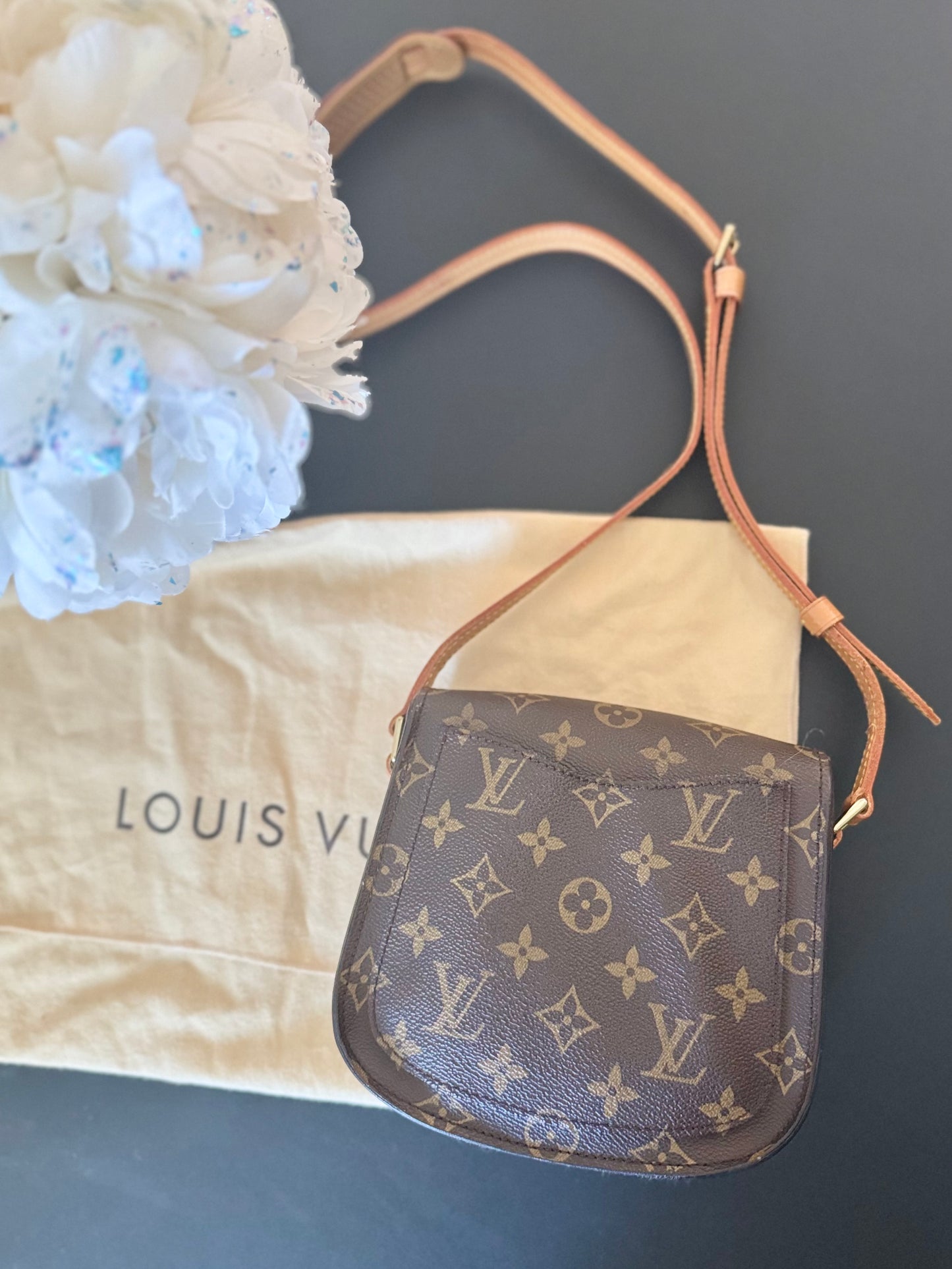 LOUIS VUITTON ST CLOUD PM