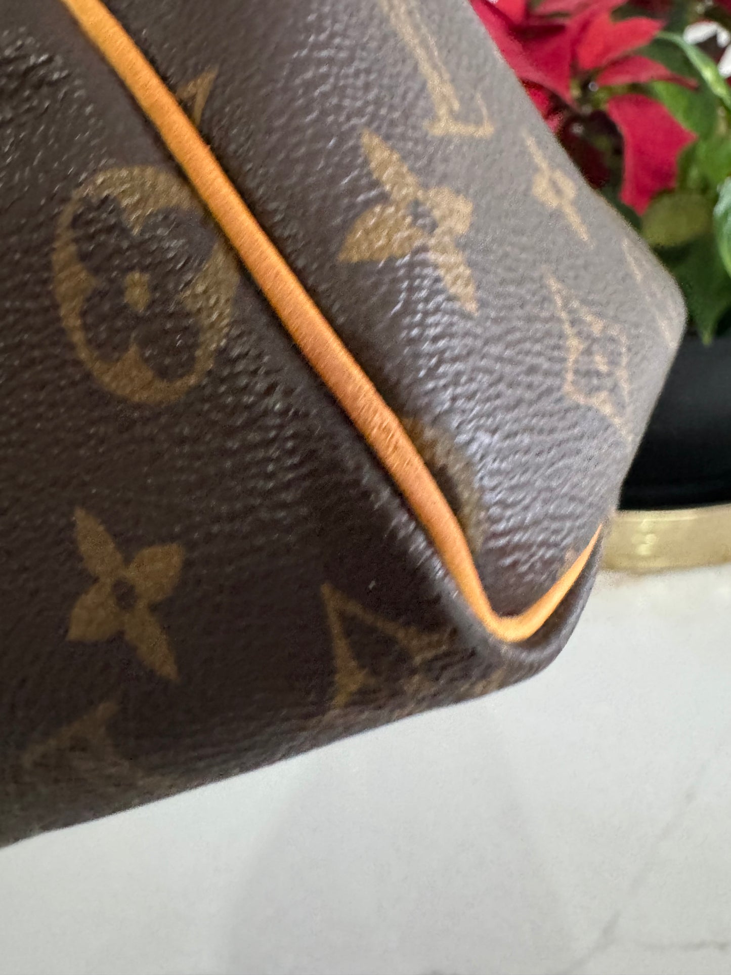 LOUIS VUITTON SPEEDY 25 #2