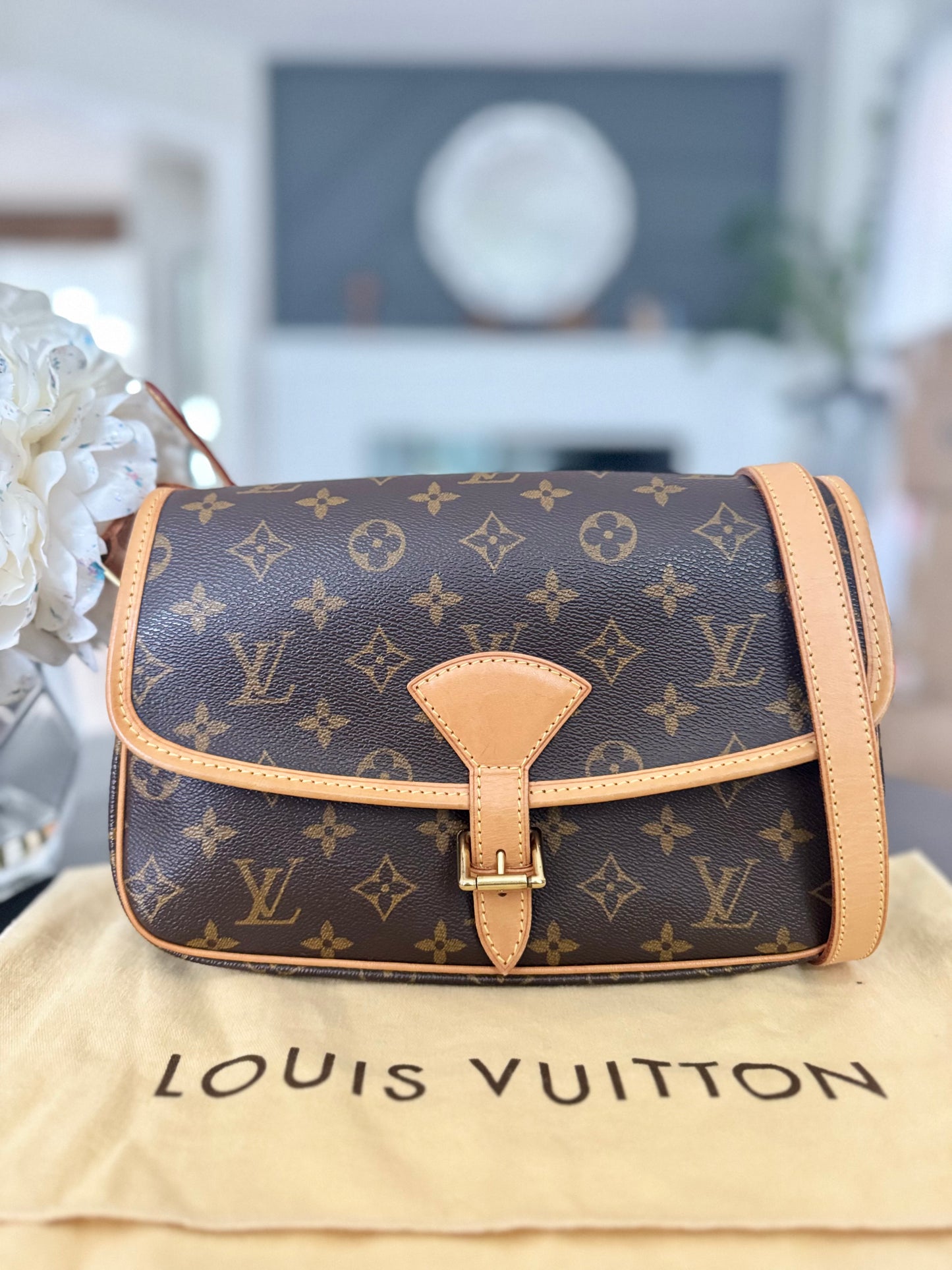LOUIS VUITTON SOLOGNE CROSSBODY BAG