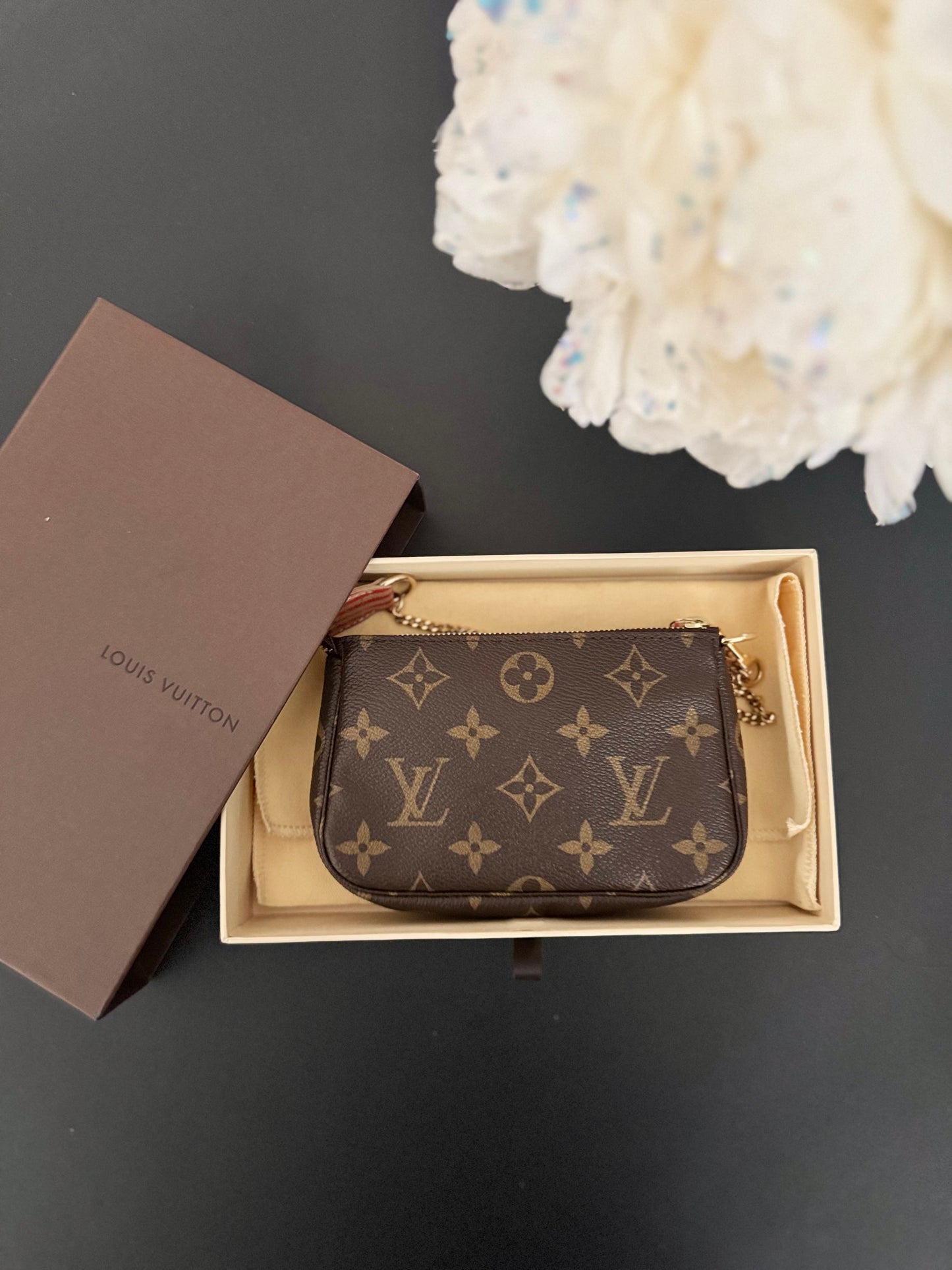 LOUIS VUITTON BAGS AND TRUNKS MINI POCHETTE