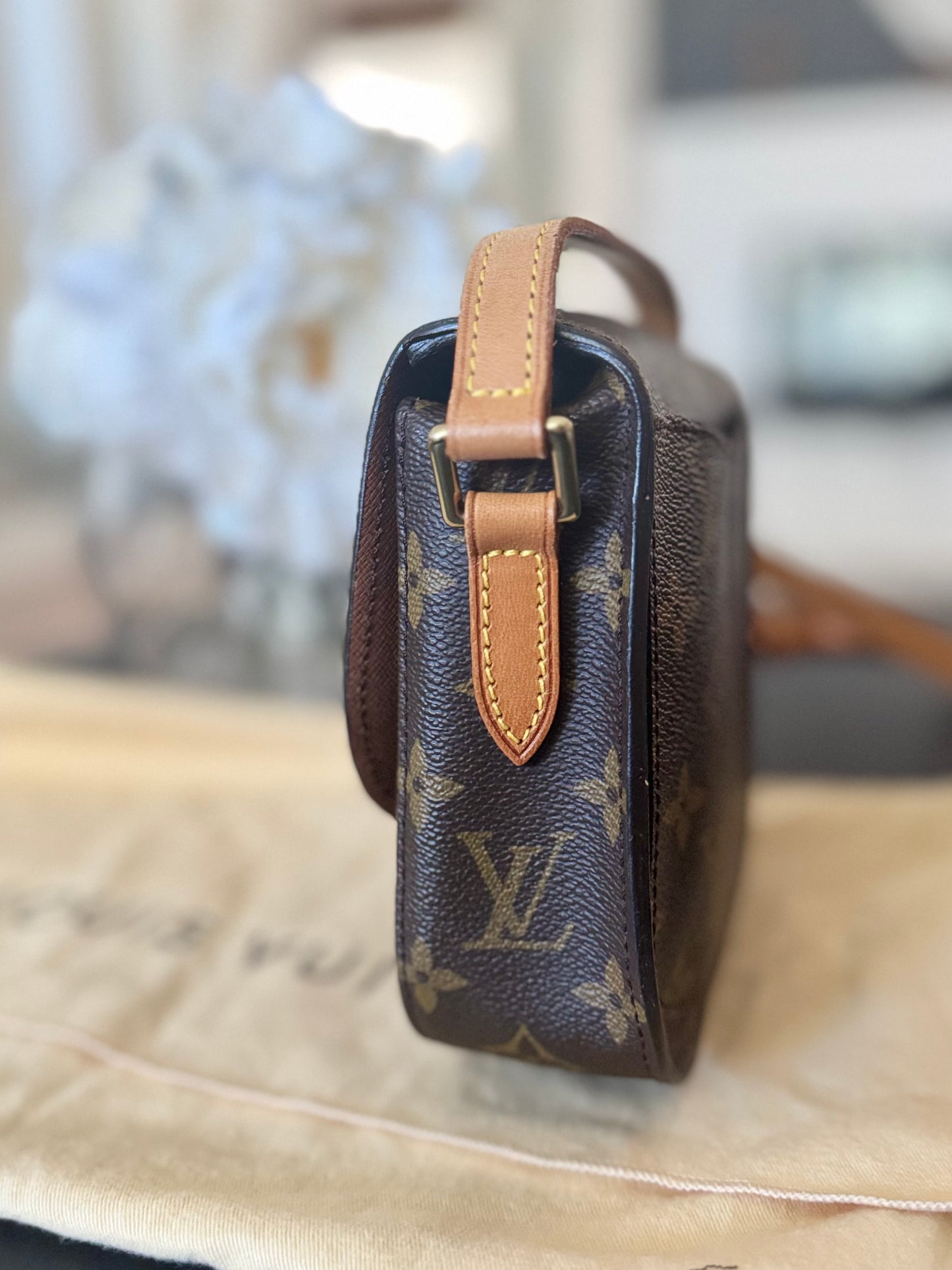 LOUIS VUITTON ST CLOUD PM