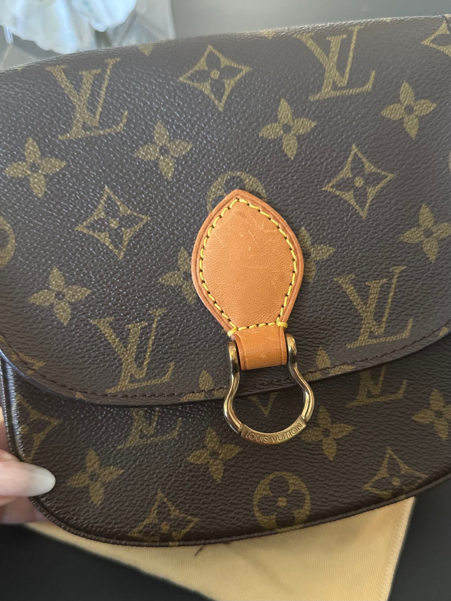 LOUIS VUITTON ST CLOUD PM