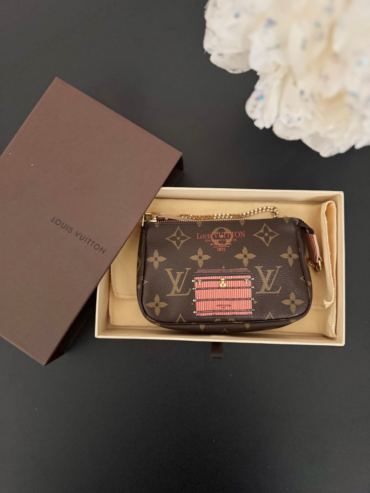 LOUIS VUITTON BAGS AND TRUNKS MINI POCHETTE