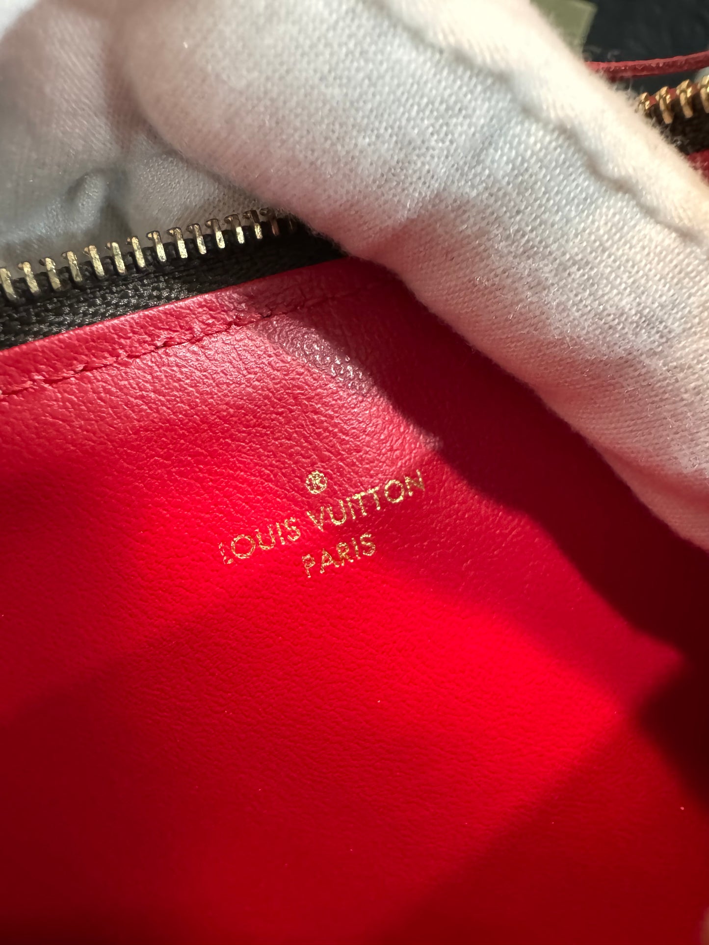 LOUIS VUITTON LIMITED EDITION WORLD TOUR FELICIE POCHETTE IN MONOGRAM CANVAS.