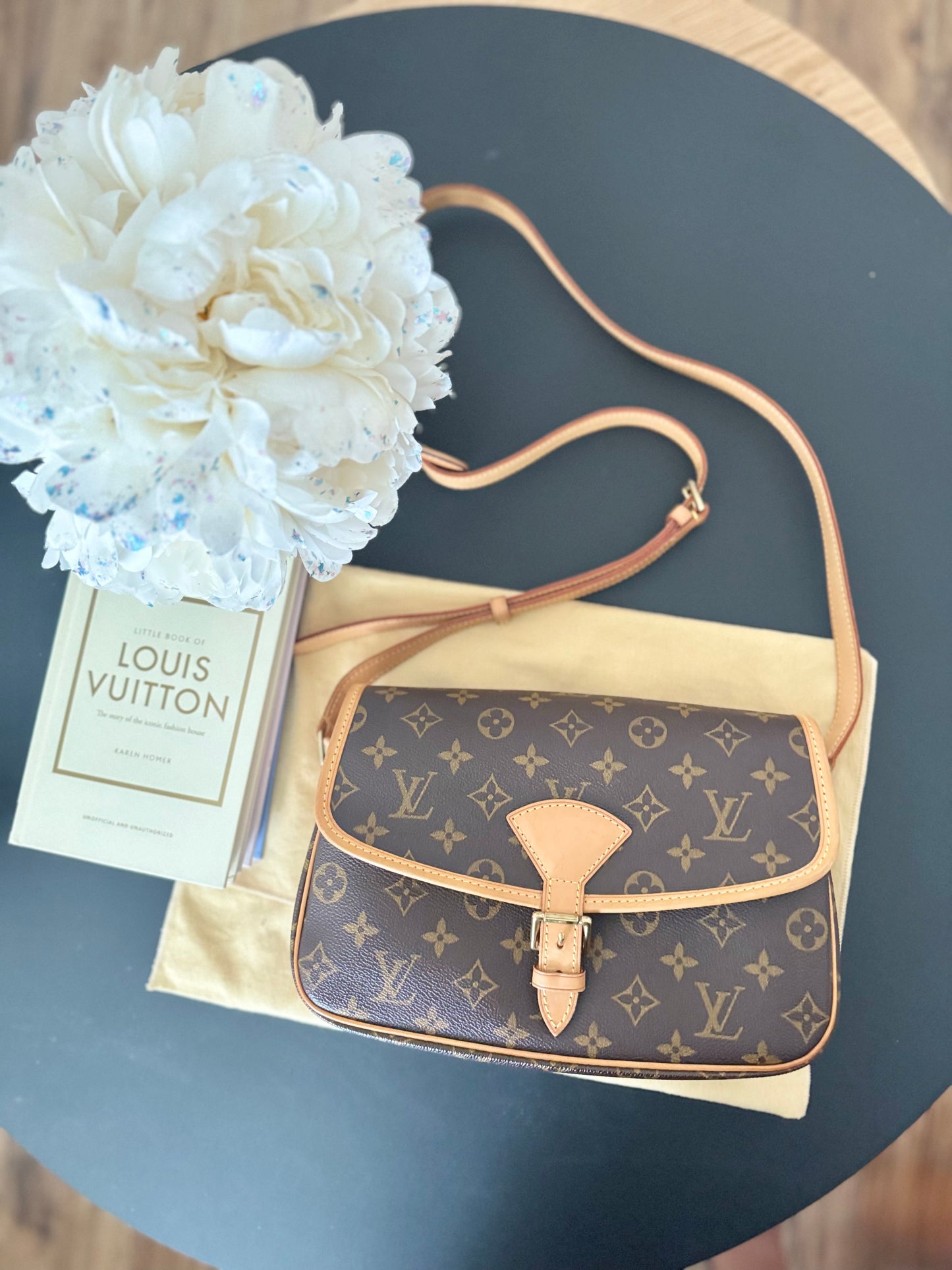 LOUIS VUITTON SOLOGNE CROSSBODY BAG