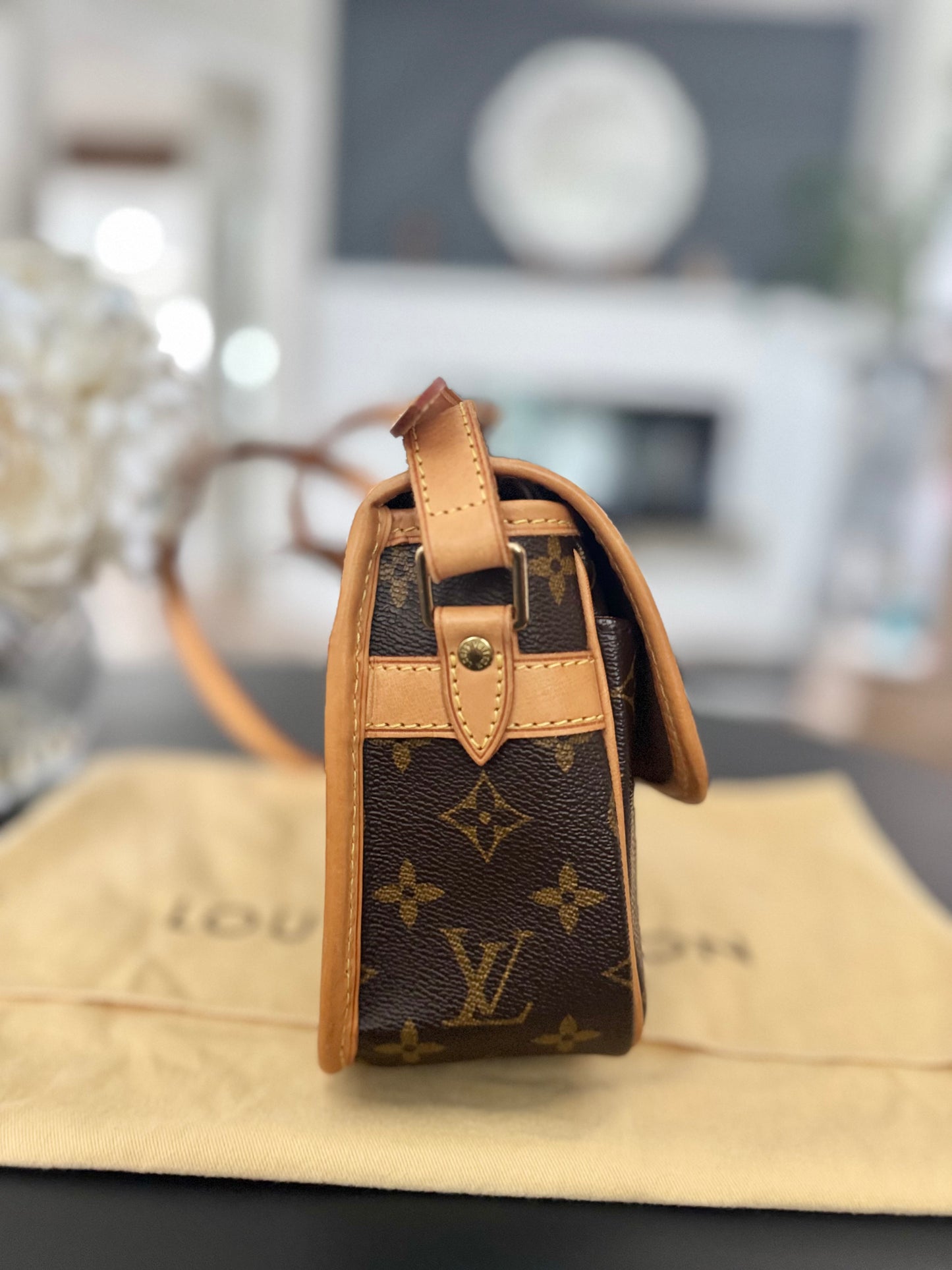 LOUIS VUITTON SOLOGNE CROSSBODY BAG