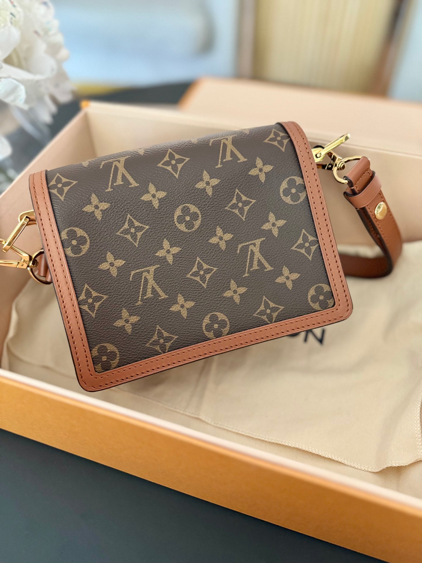 LOUIS VUITTON MINI DAUPHINE CROSSBODY / SHOULDER Bag