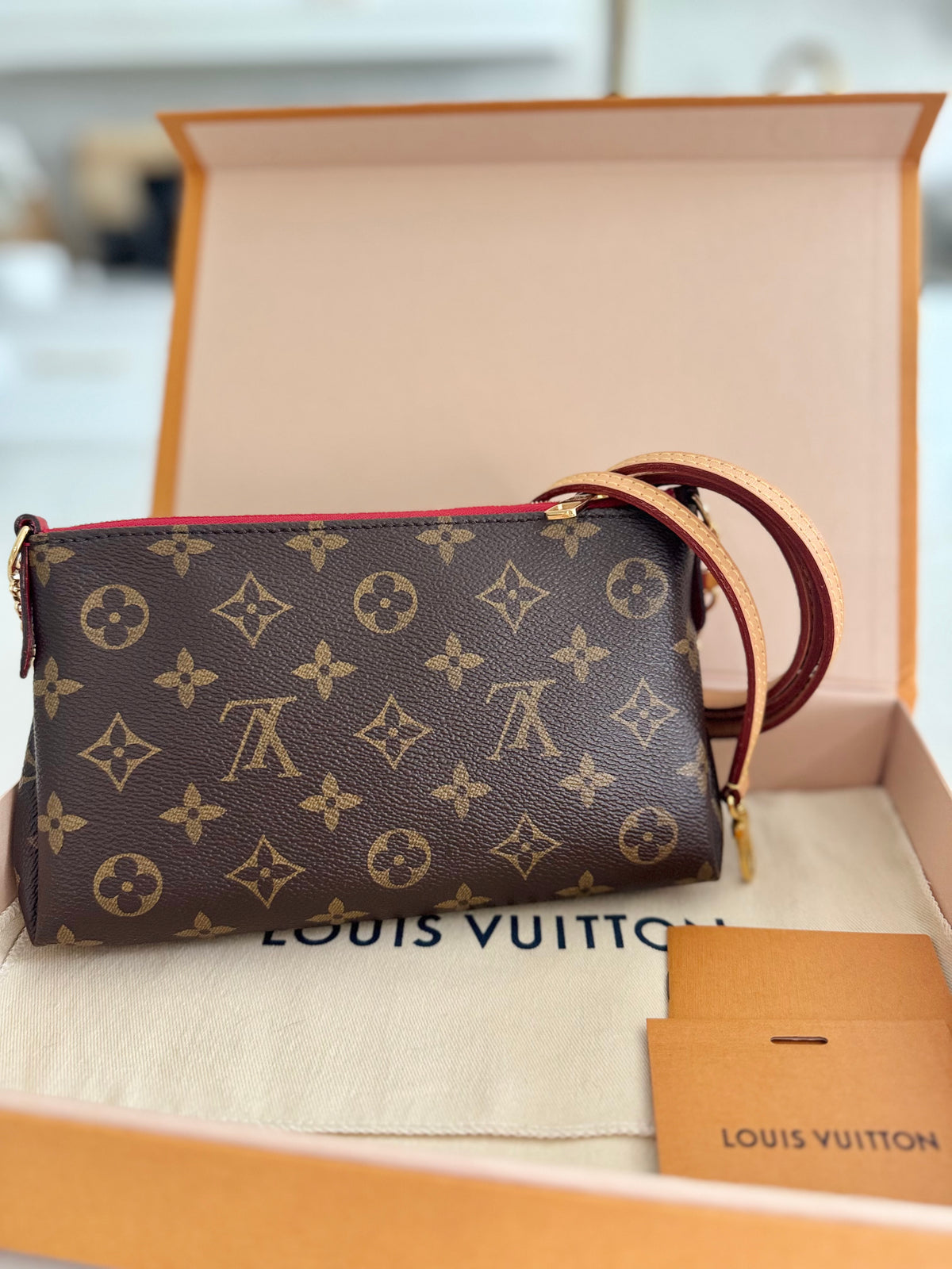 Louis Vuitton Pallas Clutch Crossbody Bag