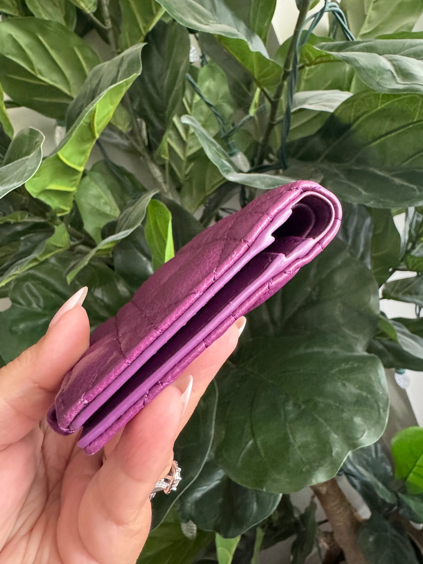Christian Dior Dahlia Caro Compact Wallet