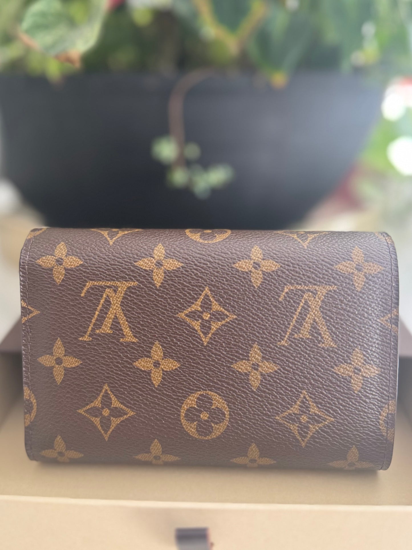 LOUIS VUITTON ALEXANDRA WALLET