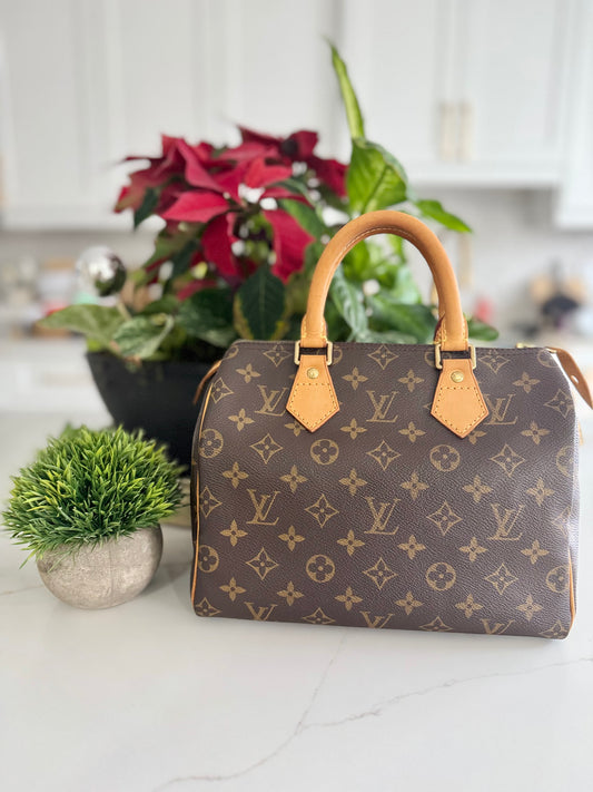 LOUIS VUITTON SPEEDY 25 #2