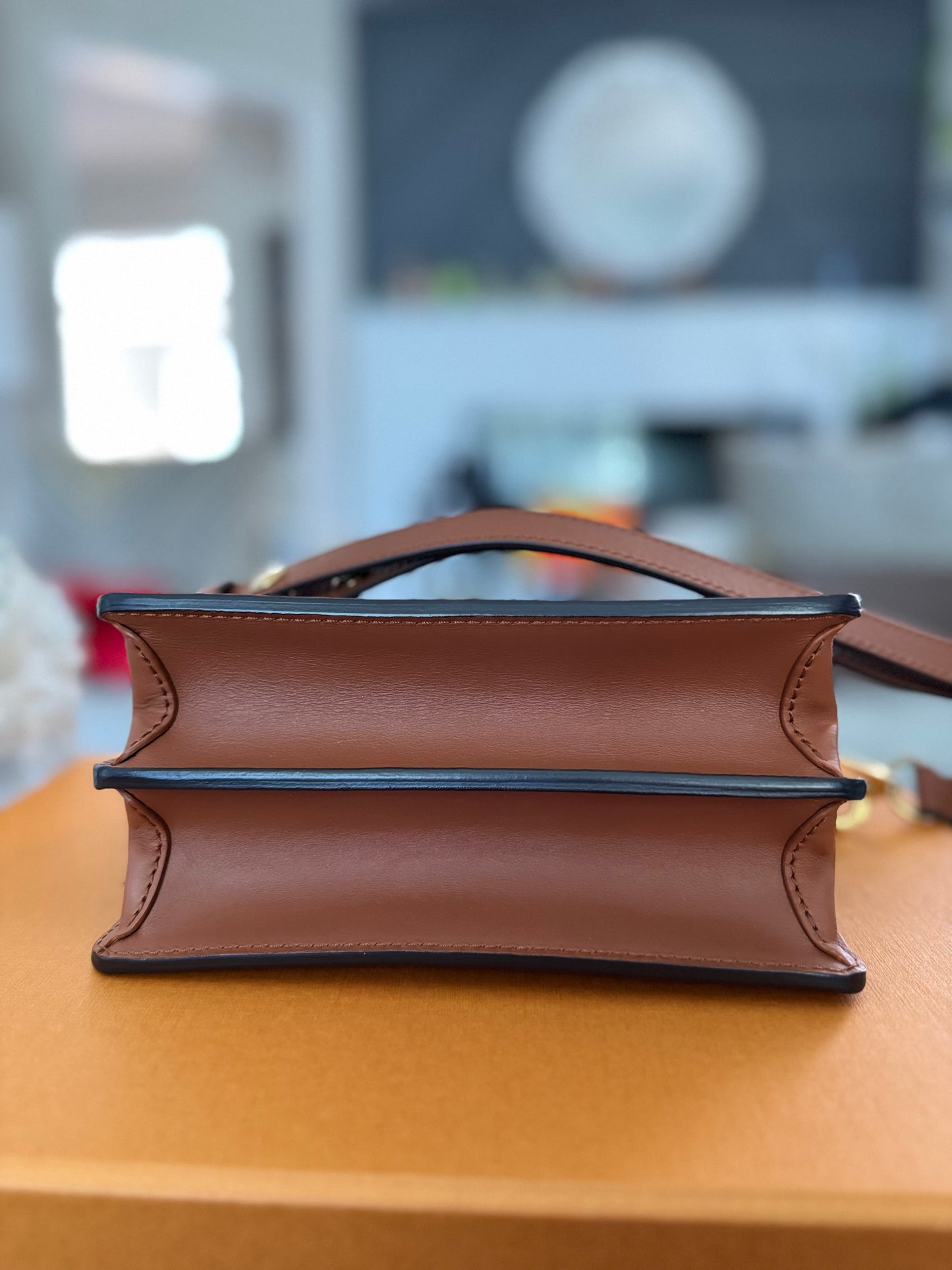 LOUIS VUITTON MINI DAUPHINE CROSSBODY / SHOULDER Bag