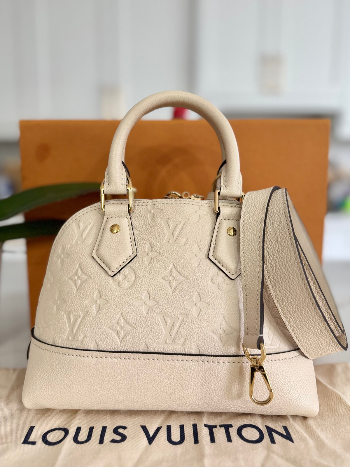 LOUIS VUITTON NEO ALMA BB BAG