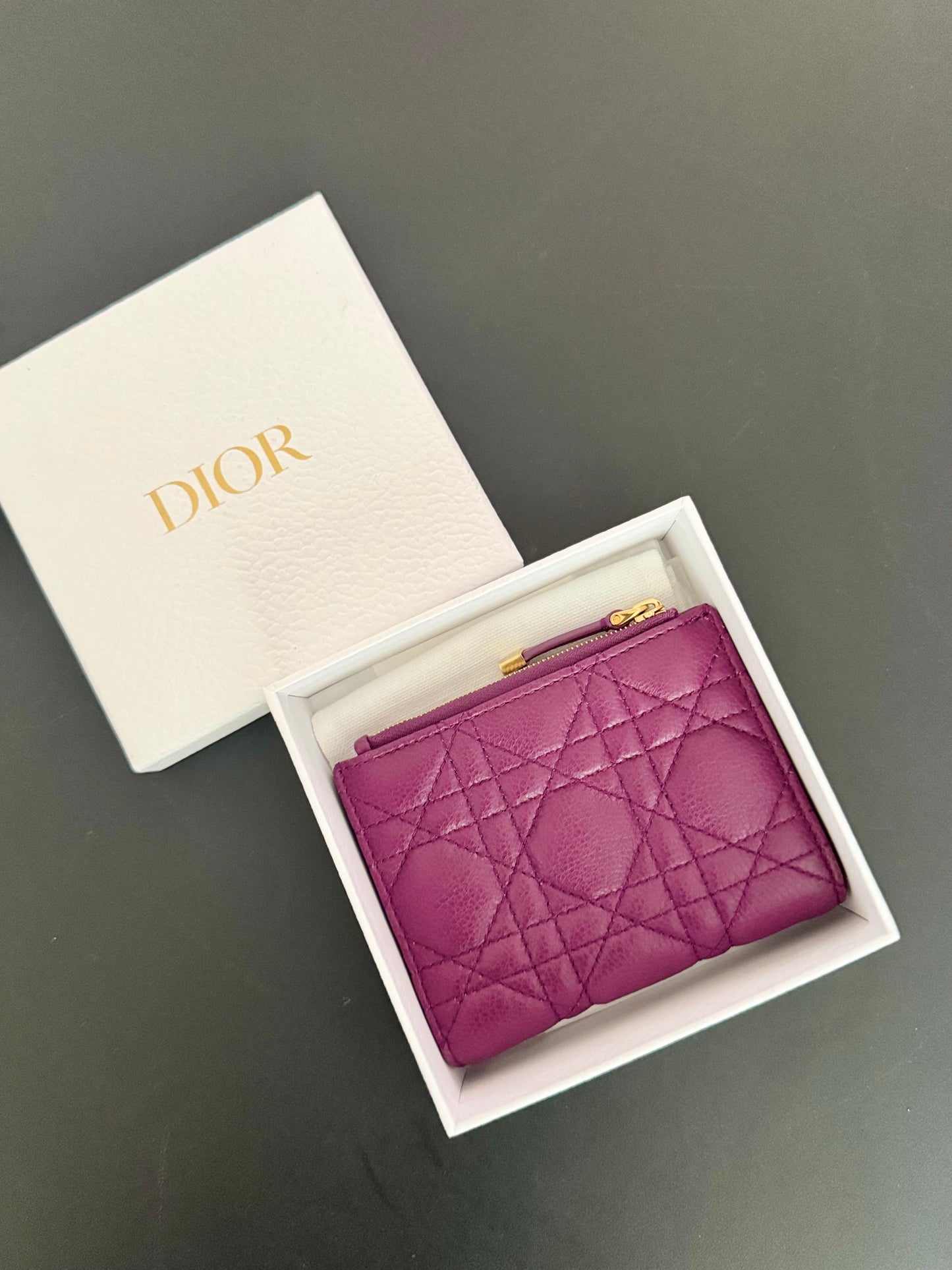 Christian Dior Dahlia Caro Compact Wallet