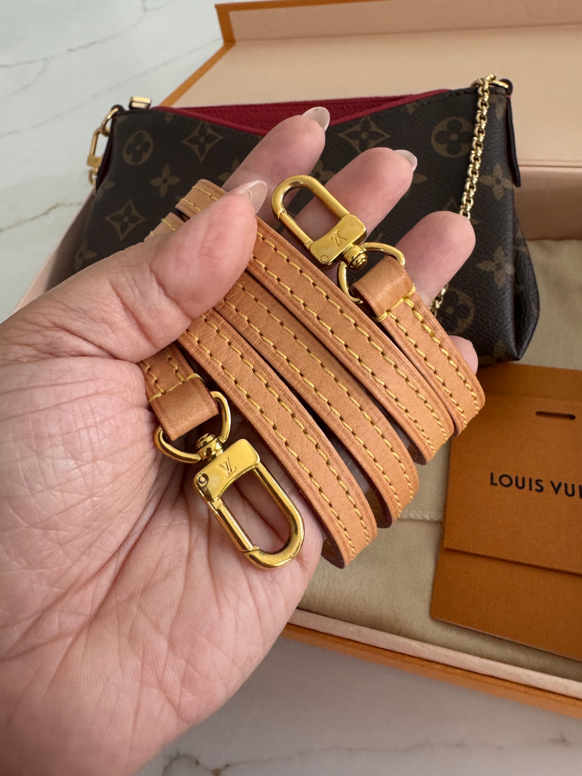 Louis Vuitton Pallas Clutch Crossbody Bag