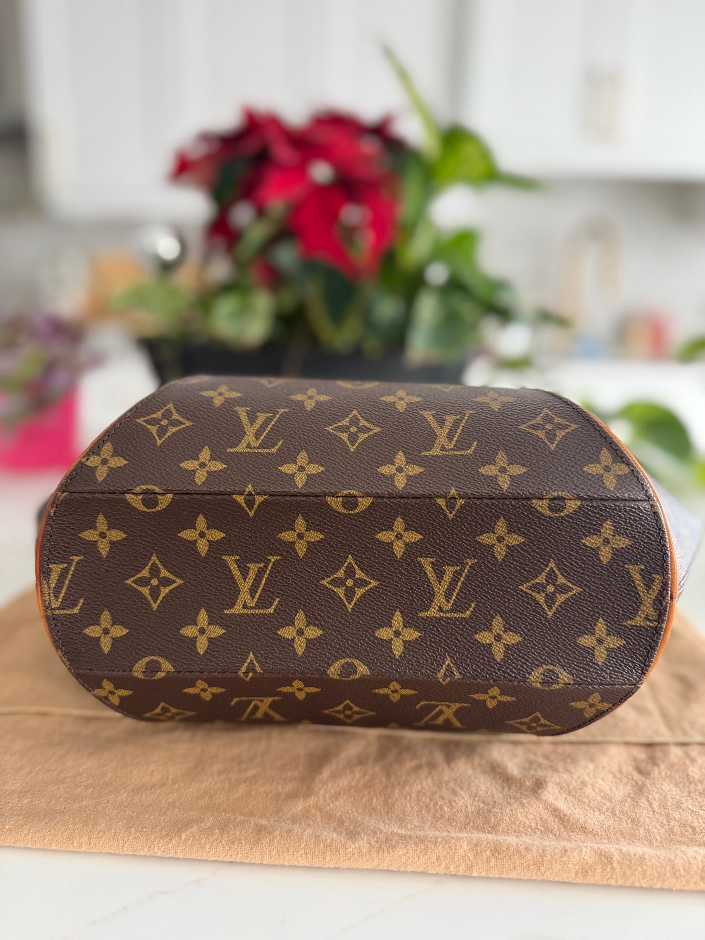LOUIS VUITTON ELLIPSE MM