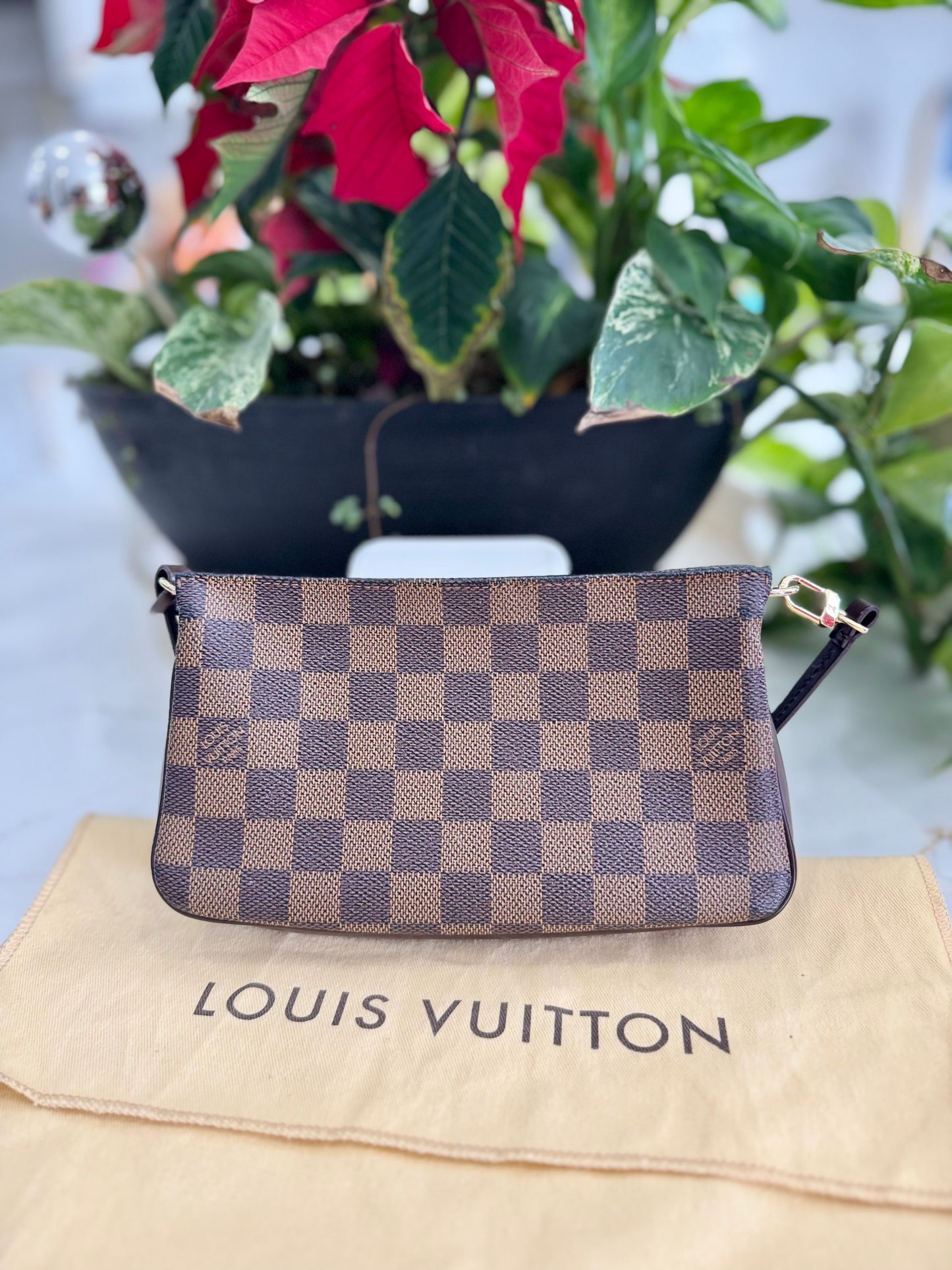 LOUIS VUITTON POCHETTE NAVONA