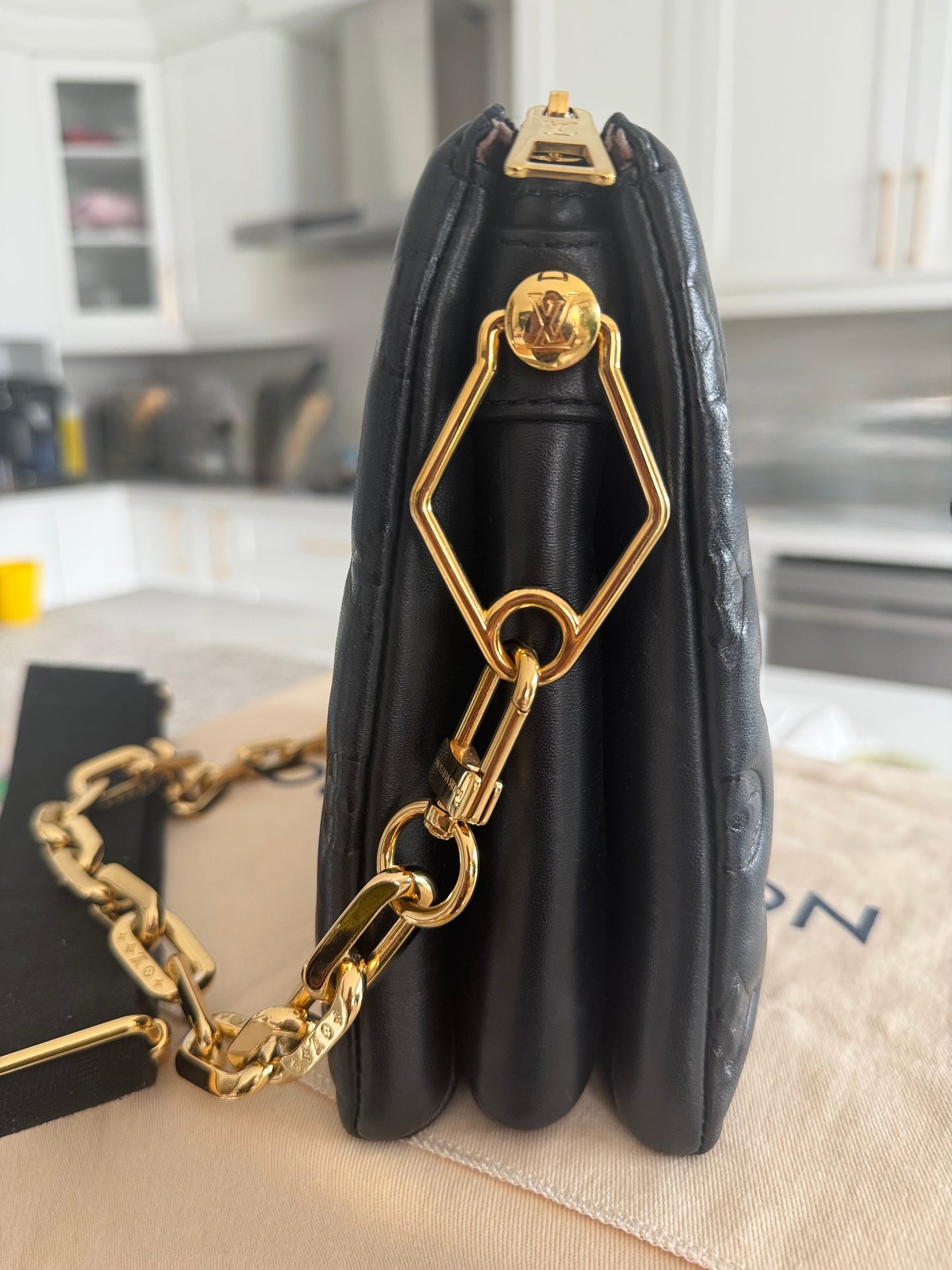 Louis Vuitton Coussin PM
