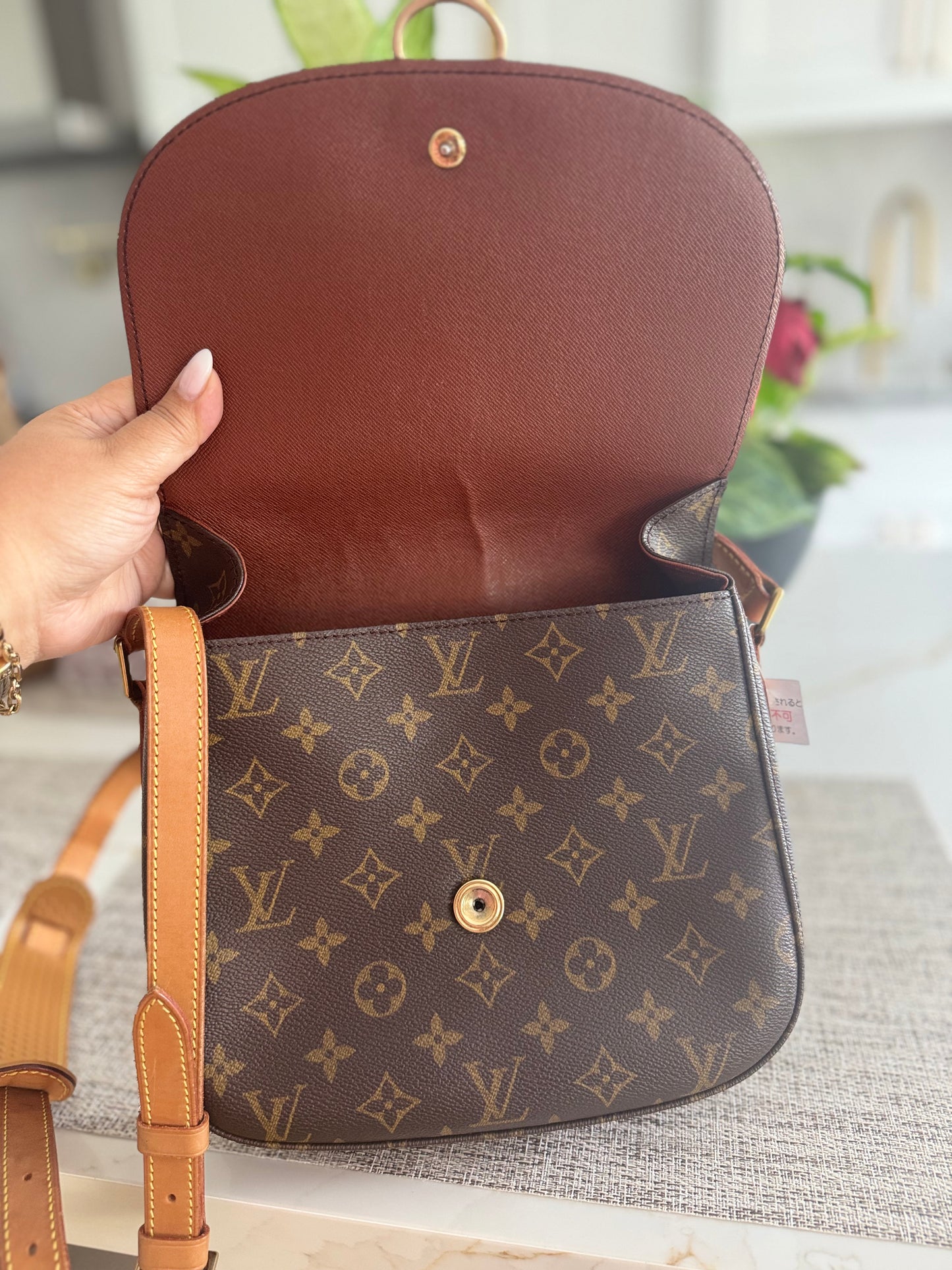 LOUIS VUITTON ST CLOUD GM CROSSBODY BAG