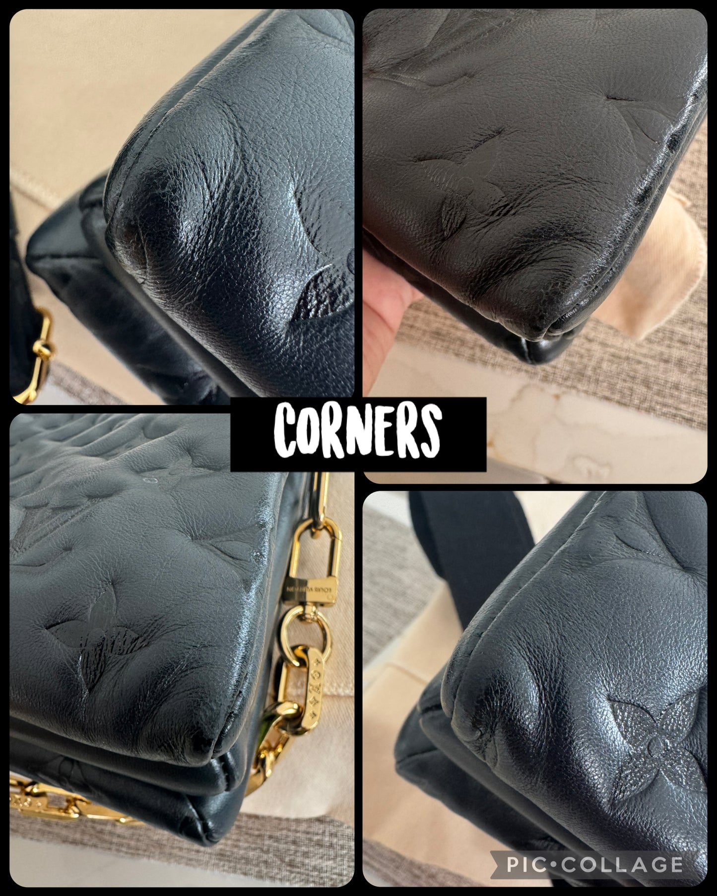 Louis Vuitton Coussin PM