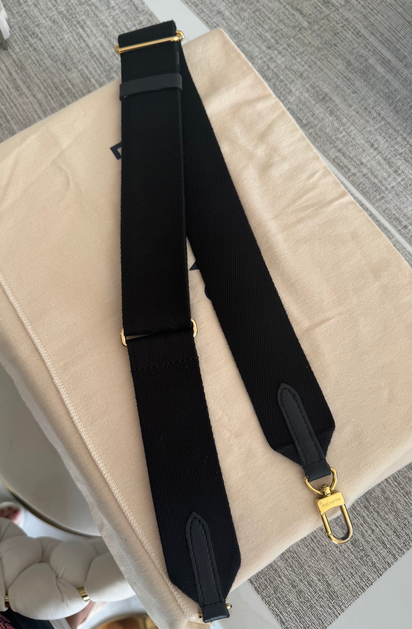 Louis Vuitton Coussin PM