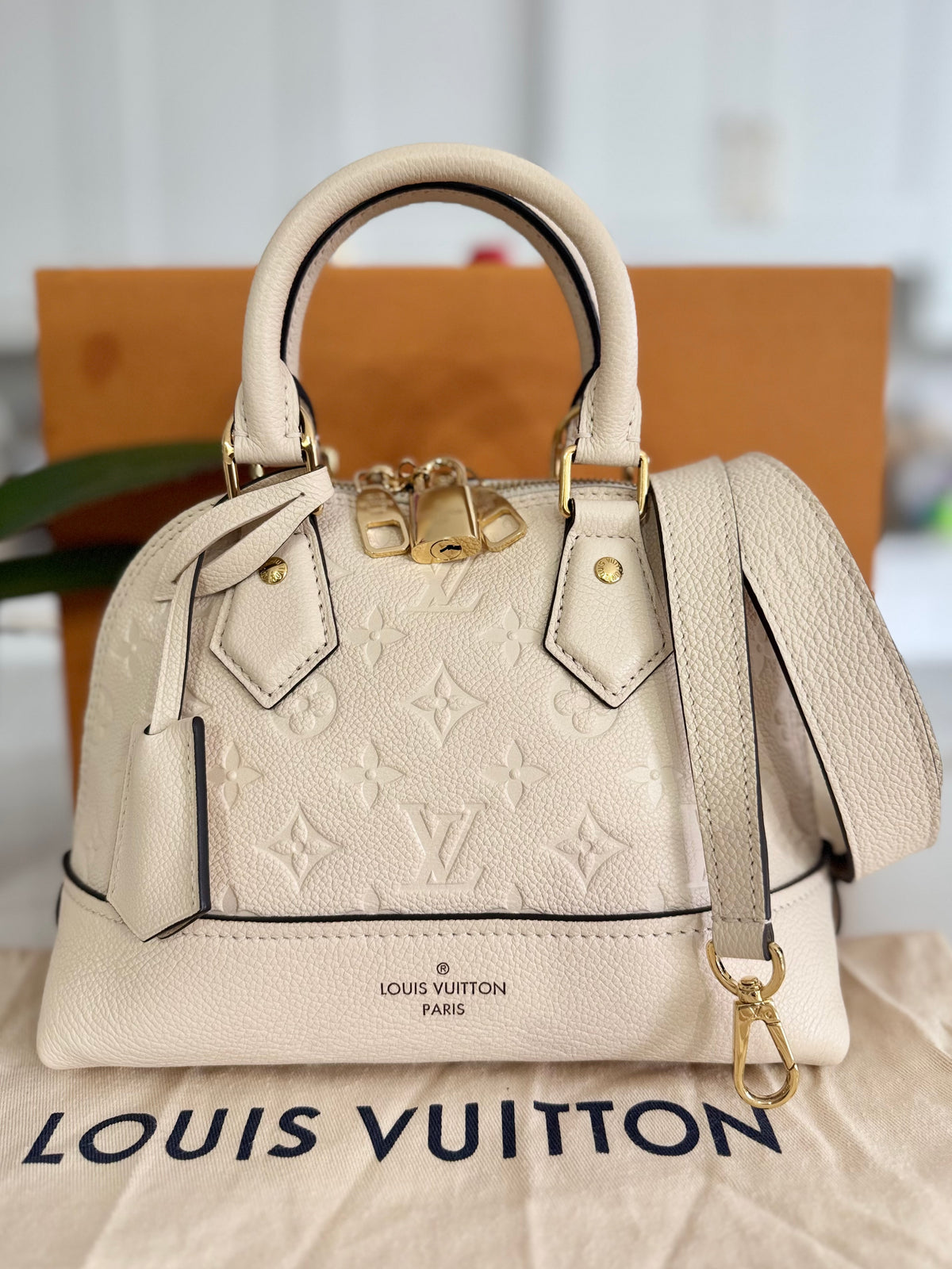 LOUIS VUITTON NEO ALMA BB BAG