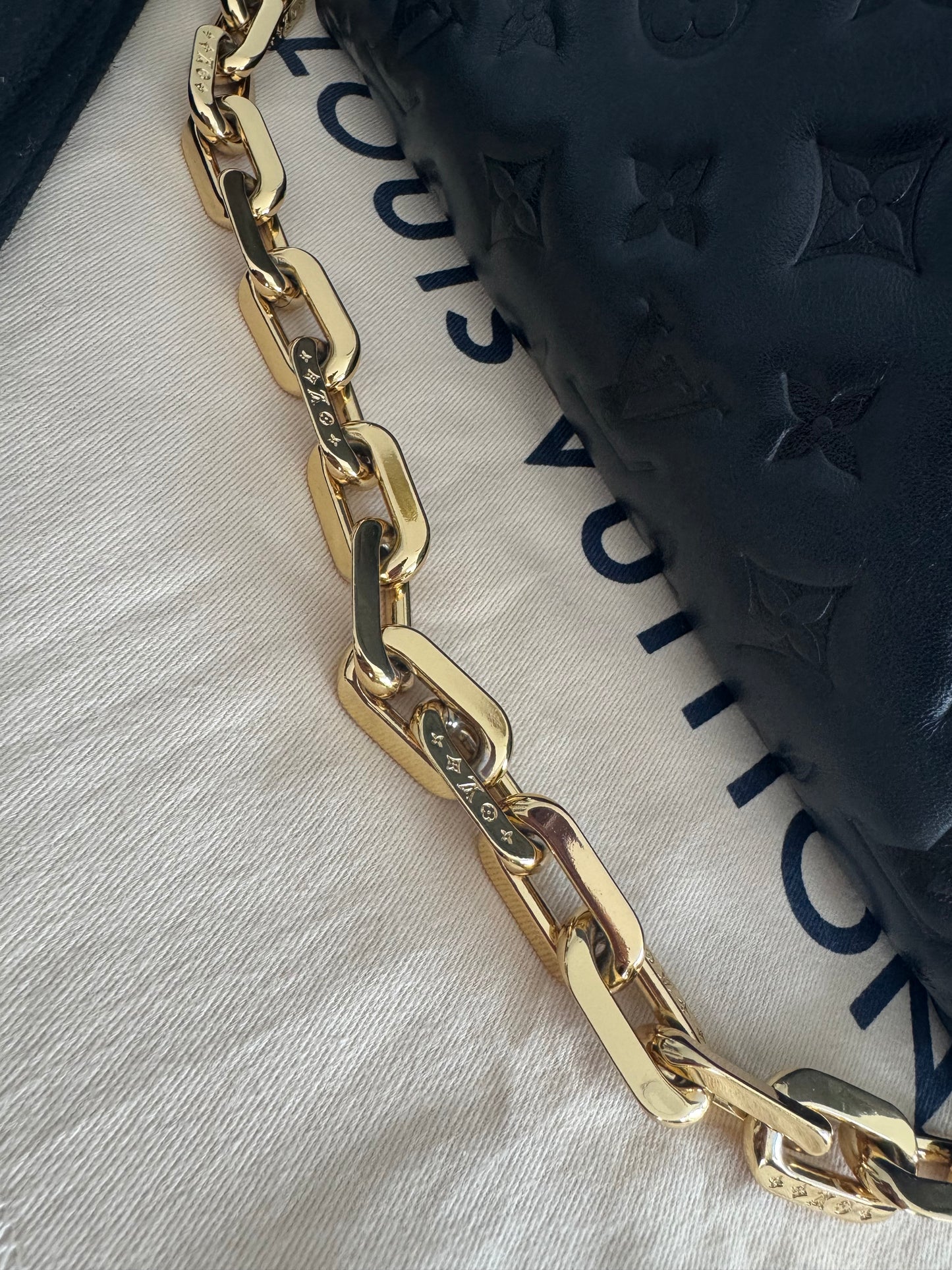Louis Vuitton Coussin PM
