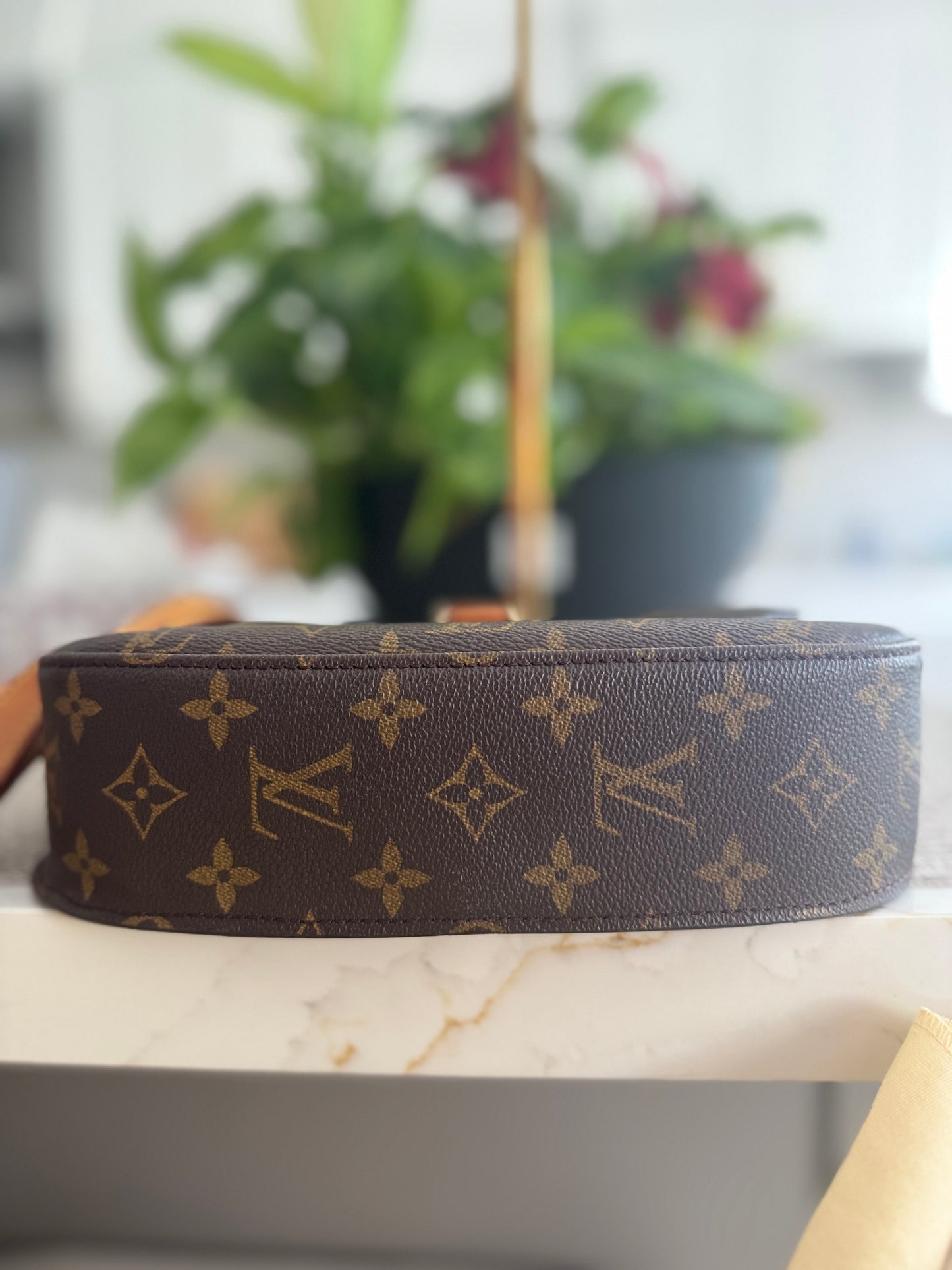 LOUIS VUITTON ST CLOUD GM CROSSBODY BAG