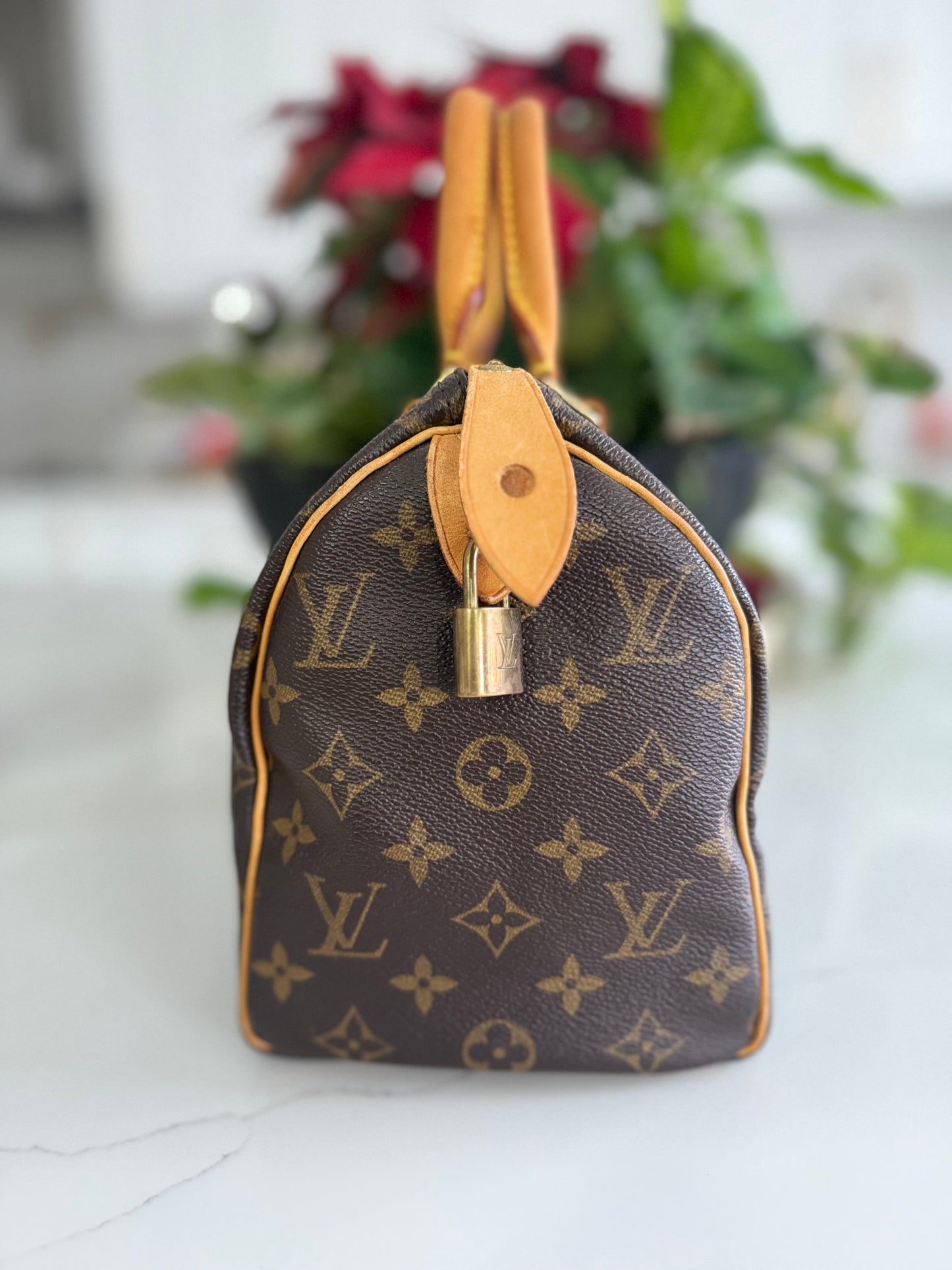 LOUIS VUITTON SPEEDY 25 #2
