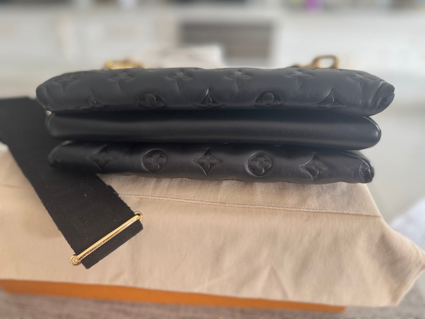 Louis Vuitton Coussin PM