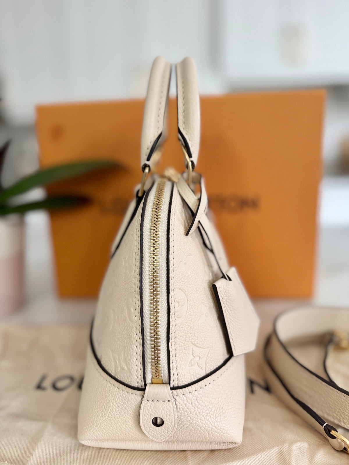 LOUIS VUITTON NEO ALMA BB BAG